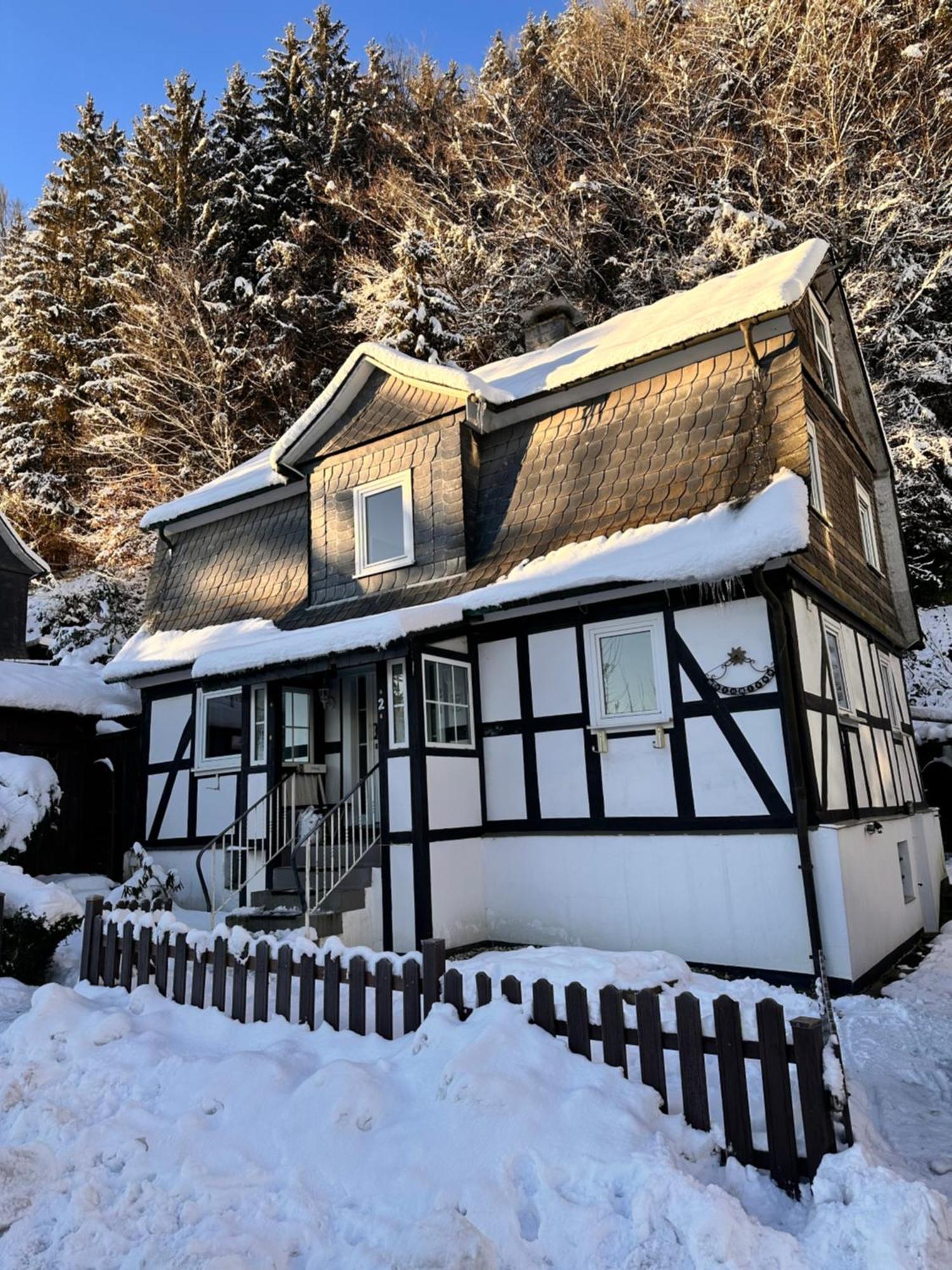 Ferienhaus Waldtraum Winterberg Buitenkant foto